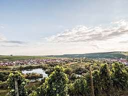 Weinberg C Hannes Niederkofler WEB 5656